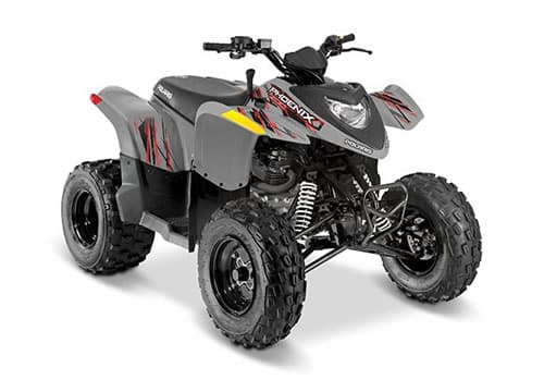 Cuatrimoto juvenil Polaris® Phoenix 200